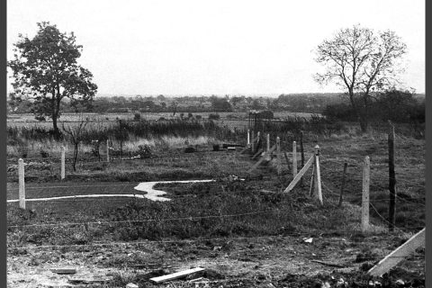 Peter Banks — Landscape, (1970s?)