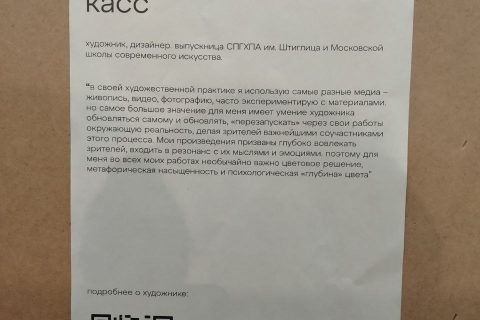 Среди независимых авторов скромно висят и четыре фотографии Анны Касс (сплетню можете погуглить сами). Пластиковый мусор в пейзаже.