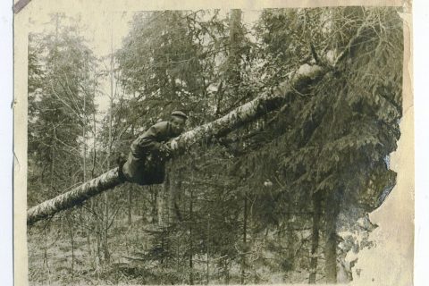 А этот так )) случайные параллели. Народная картинка с Мешка.