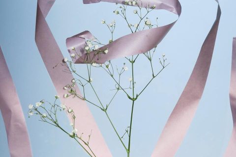 Clément Poché — Fix Nature (2017-2024)