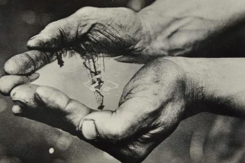 1. Александр Птицын «Нефть Сибири». 1962